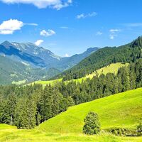 am Weg der MTB Tour "Rund um den Guffert " - Blick zum Hinteren Sonnwendjoch, im Vordergrund die Jocher Bairachalm