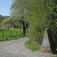 Rosenauwiesen