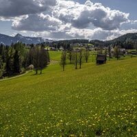 20250428_Leitenrundweg_3765.jpg