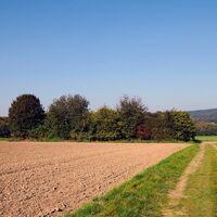 NaturRoute Westkilver-Rödinghausen