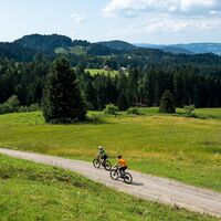 Schetteregg Mountainbiken
