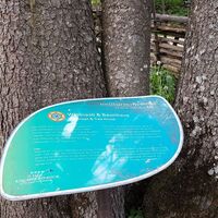 1.2 km Waldnestl & Baumhaus