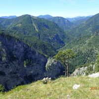 am Wachhüttelkammsteig