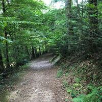 Spaziergang "Wildgehege" in Zell im Wiesental