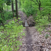 Landschaft