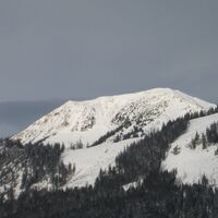 Blick zur Lahnerleitenspitze