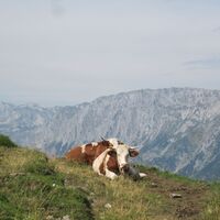 Göriacher Alm und Hochanger