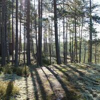 Hukkavuoren Naturpfad
