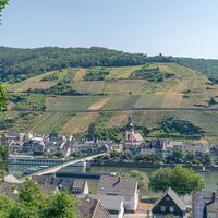 Blick auf Zell vom Mosel-Radweg