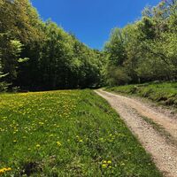 Pfad in Richtung Combe Danoi