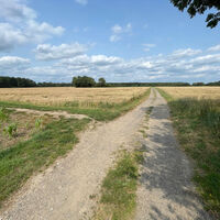 Weite niederrheinische Landschaft