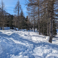 Passo San Pellegrino - See ©Archivio APT Val di Fassa