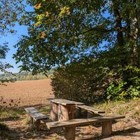 Sitzgelegenheit auf dem VitalWeg 7 und 22 im Herbst