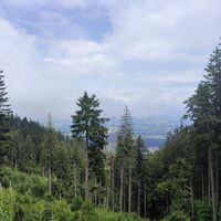 Ausblick Richtung Waginger See