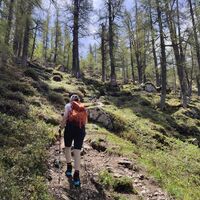 Weiterweg zum Schallerkogel