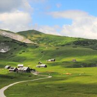 Almboden auf der Schneealm