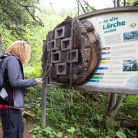 Station beim Themensteig Fisser Gonde