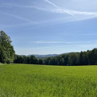Schöne Ausblicke immer wieder -- das schöne Grün ist eine Wohltat!