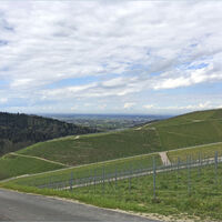 Aussicht vom Rastplatz Käsreut