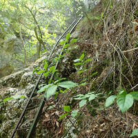 Große Klause Aufstieg