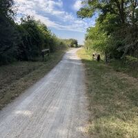 Bike Buddies Burgenland