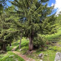 historische Strasse, Egga - Belalp