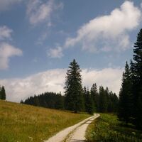 Hinternaßwald, Sonnleitstein