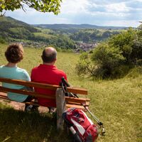 Blick auf Wildberg