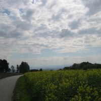 Laimbach a. Ostrong - Ybbs a. d. Donau