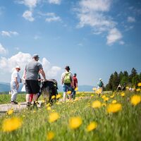 Wandergruppe