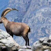 Richtung Rote-Tötz- Lücke
