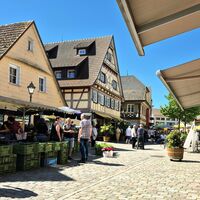 Markt in der Haslacher Altstadt