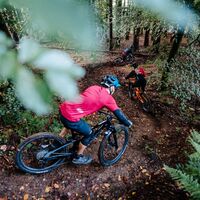 Huby Trail T69 Ossiach