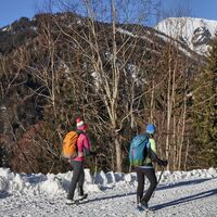 Wir wandern auf Forstwegen
