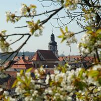 Blick auf Gochsheim