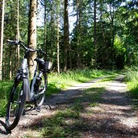 ebike-waldweg