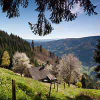 Hintereck-Hütte