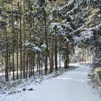 Steiler Abzweig ins Tiessenbachtal