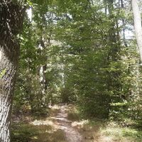 Wanderweg LA1