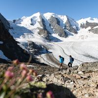 Piz Palü
