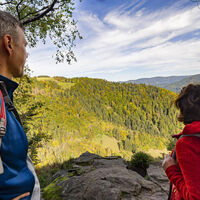 Blick vom Hohwartfelsen über den Bannwald Zweribach Richtung Platte