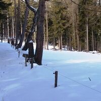 Auf dem Weg zum Gasthaus Neuhäusl