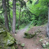 Trämel - Geimen