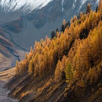 Nationalpark im Herbst