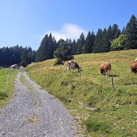 Auffahrt Brüggele