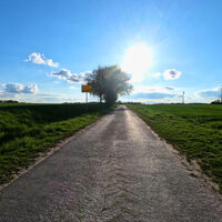 Wirtschaftsweg bei Sonnenuntergang (Ortsausgang von Westerweyhe)