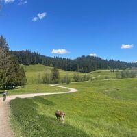 Malerischer Weg zwischen Wilhams und Weitnau