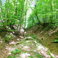 Hilgershäuser Steinwanderweg