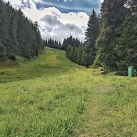 Entlang der "Skipiste" auf dem Weg #60