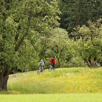 Streuobstgärten entlang der Riesentour